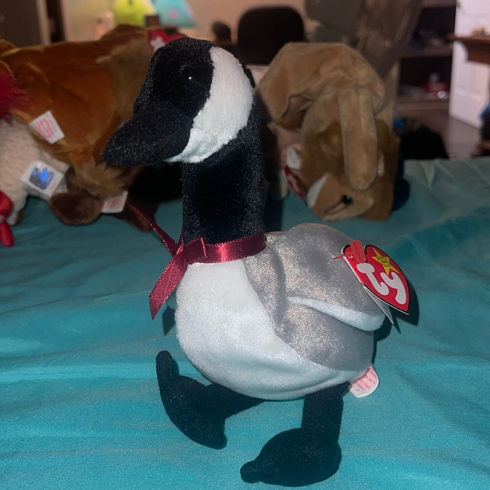 Loosy the beanie baby